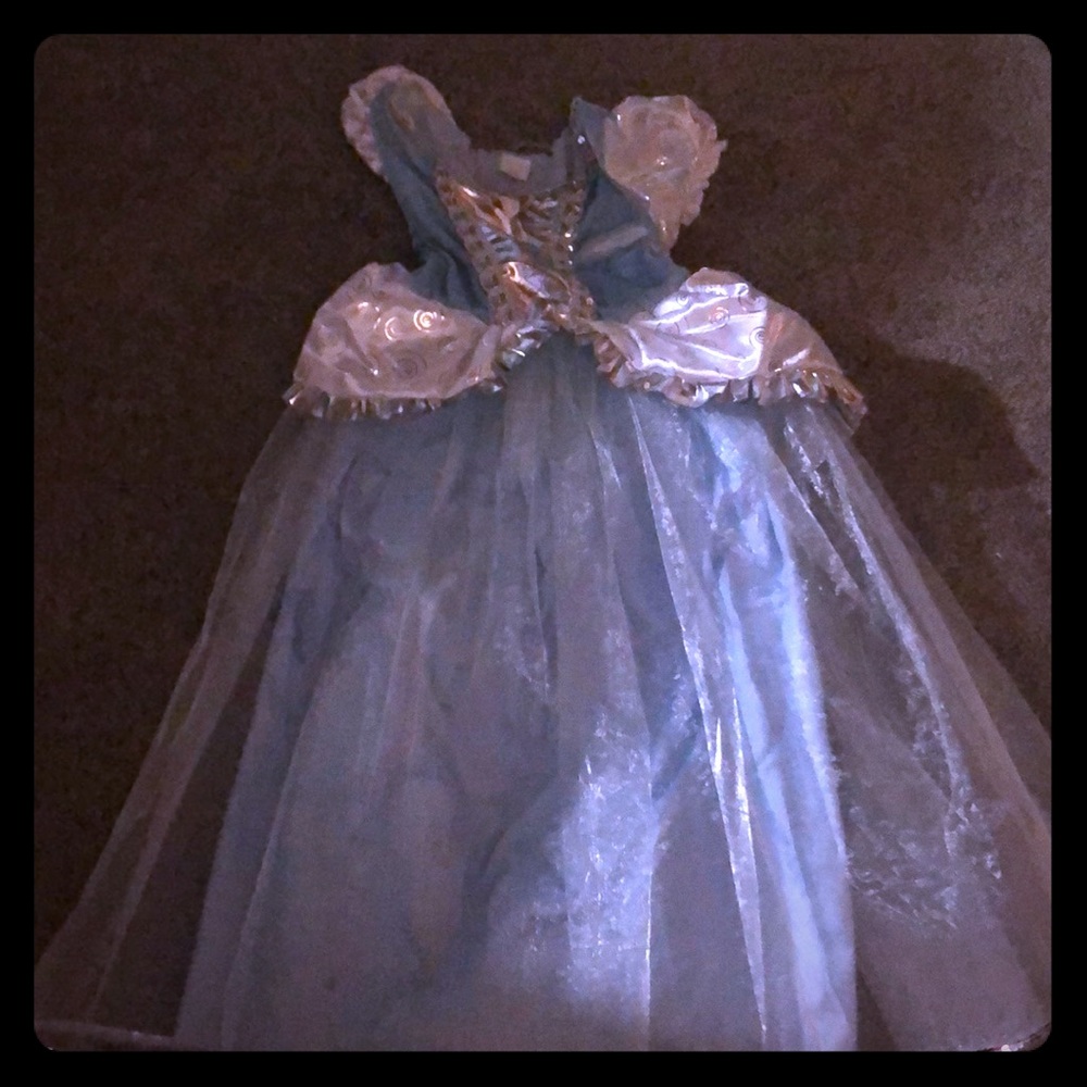Cinderella dress